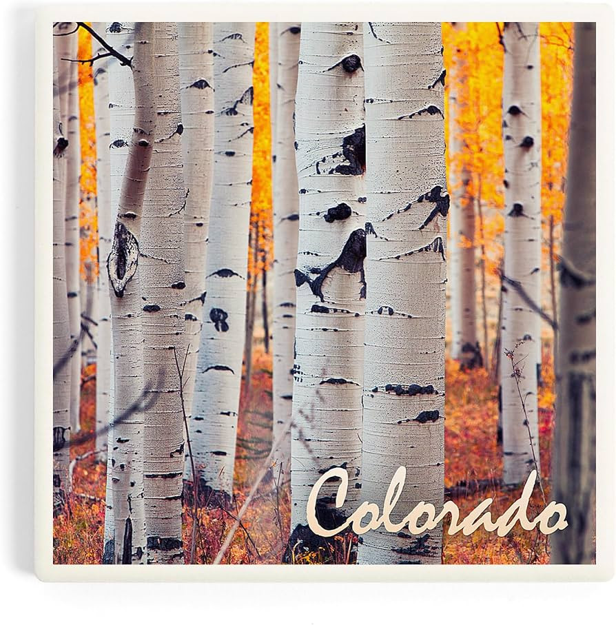 Colorado, Aspen Trees, Fall Colors (Absorbent Ceramic Coaster, Single, Cork Back, Kitchen Table D... | Amazon (US)