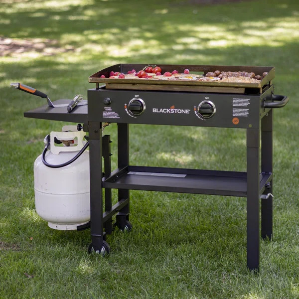 Blackstone 2 - Burner Liquid Propane 34000 BTU Gas Grill | Wayfair North America