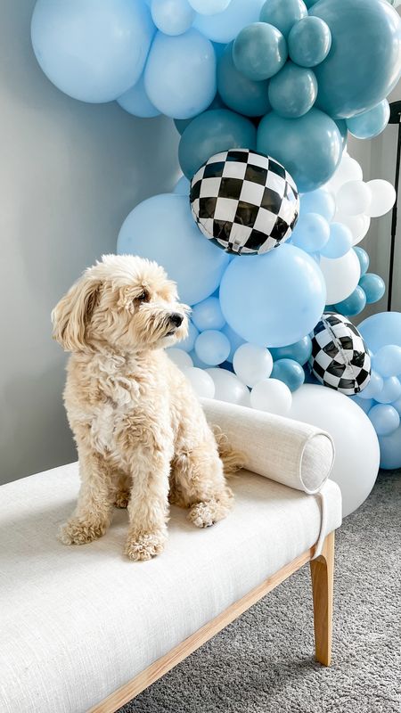 Our one happy dude first birthday celebration for lil bro was a big hit and we fell in love with these gorgeous balloon decorations by @decorbyfayth — I think Honey approved 🐶 Follow @honeyboothecavapoo for all the inspo for your one year old’s birthday party! 🥳

#LTKKids #LTKBaby #LTKParties