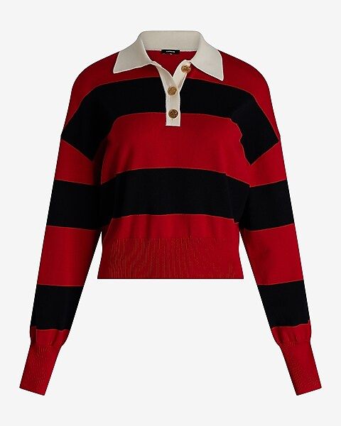 Striped Novelty Button Polo Sweater | Express