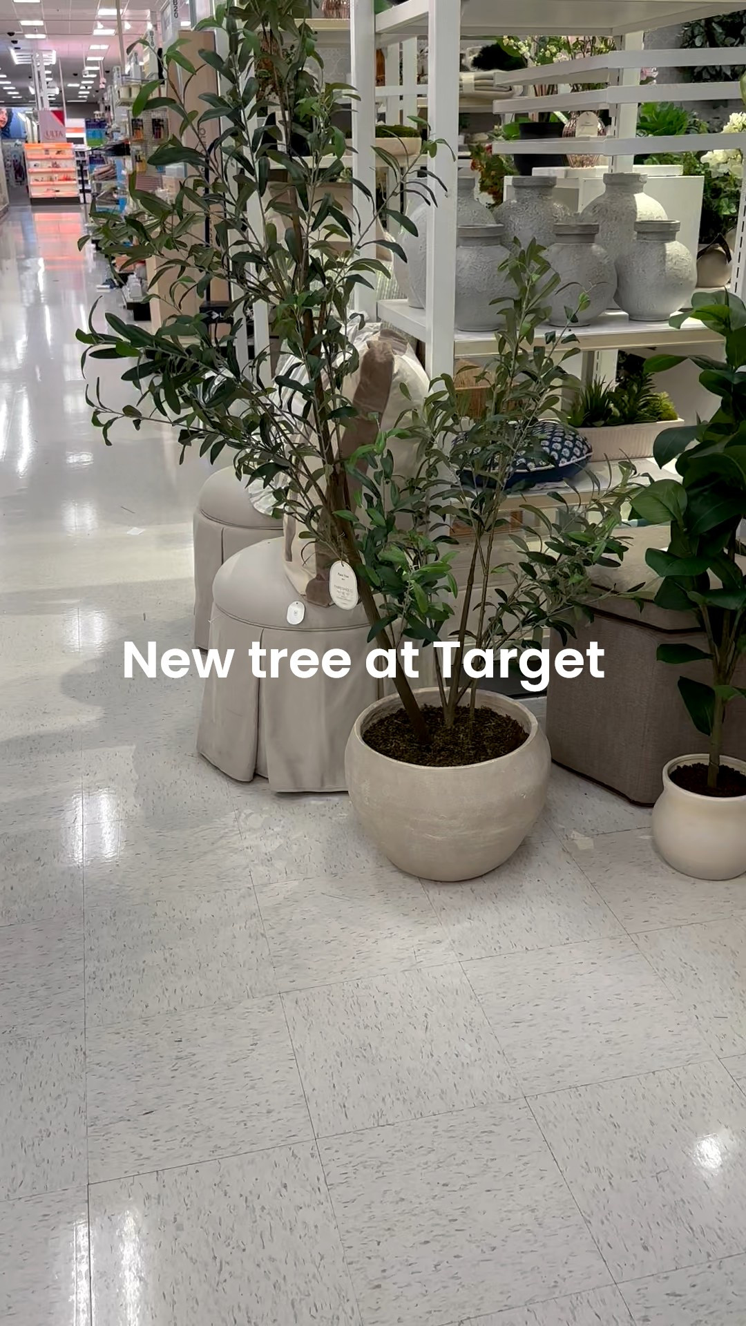 Love the organic shape of this new faux olive tree @Target the pot is so nice too!


#LTKdayinmylife #LTKHome #LTKstorytime