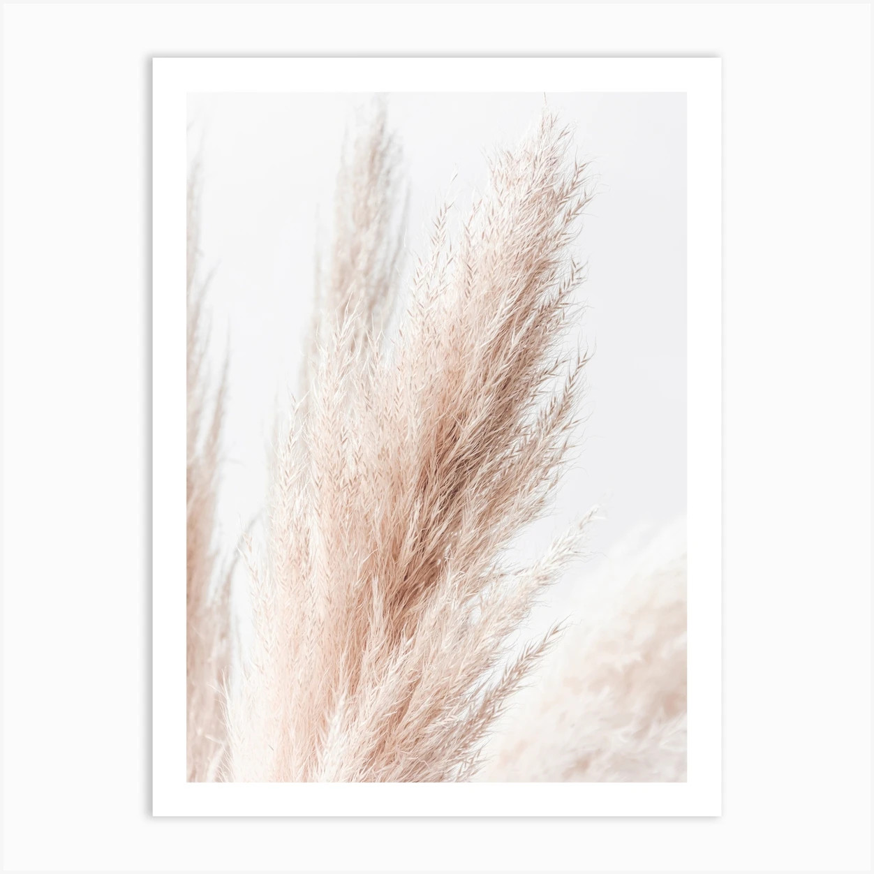 Pampas Grass Art Print | Fy! (UK)