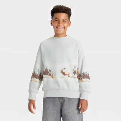 Boys' Fleece ELK Pullover Sweatshirt - art class™ Silver M | Target