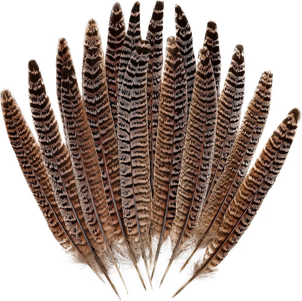 12pcs Natural Feathers Female Ringneck Pheasant Tails Feathers 8-10inch 20-25cm for Crafts Weddin... | Amazon (US)