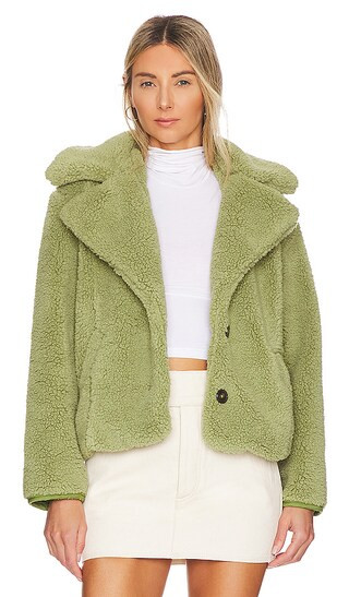 Joplin Cozy Jacket in Sweet Pistachio | Revolve Clothing (Global)