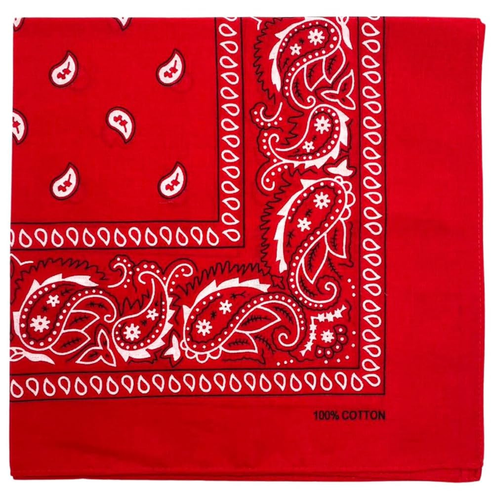 MDSTYLE 100% Cotton Bandana for Men & Women 22" x 22" Paisley Pattern Handkerchief Headband Scarf | Amazon (US)