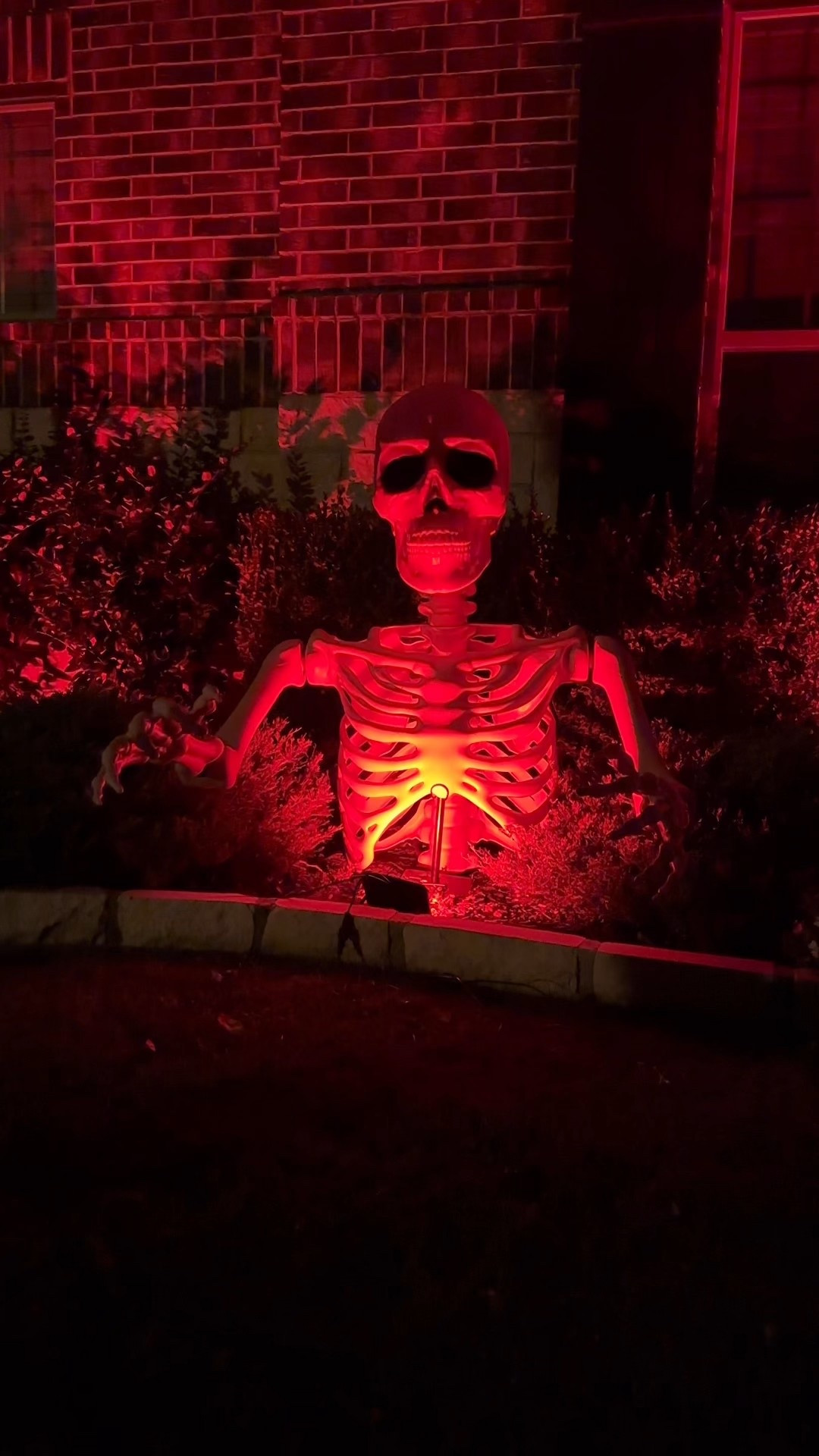 Outdoor Halloween decorations

#LTKHome #LTKSeasonal #LTKHalloween