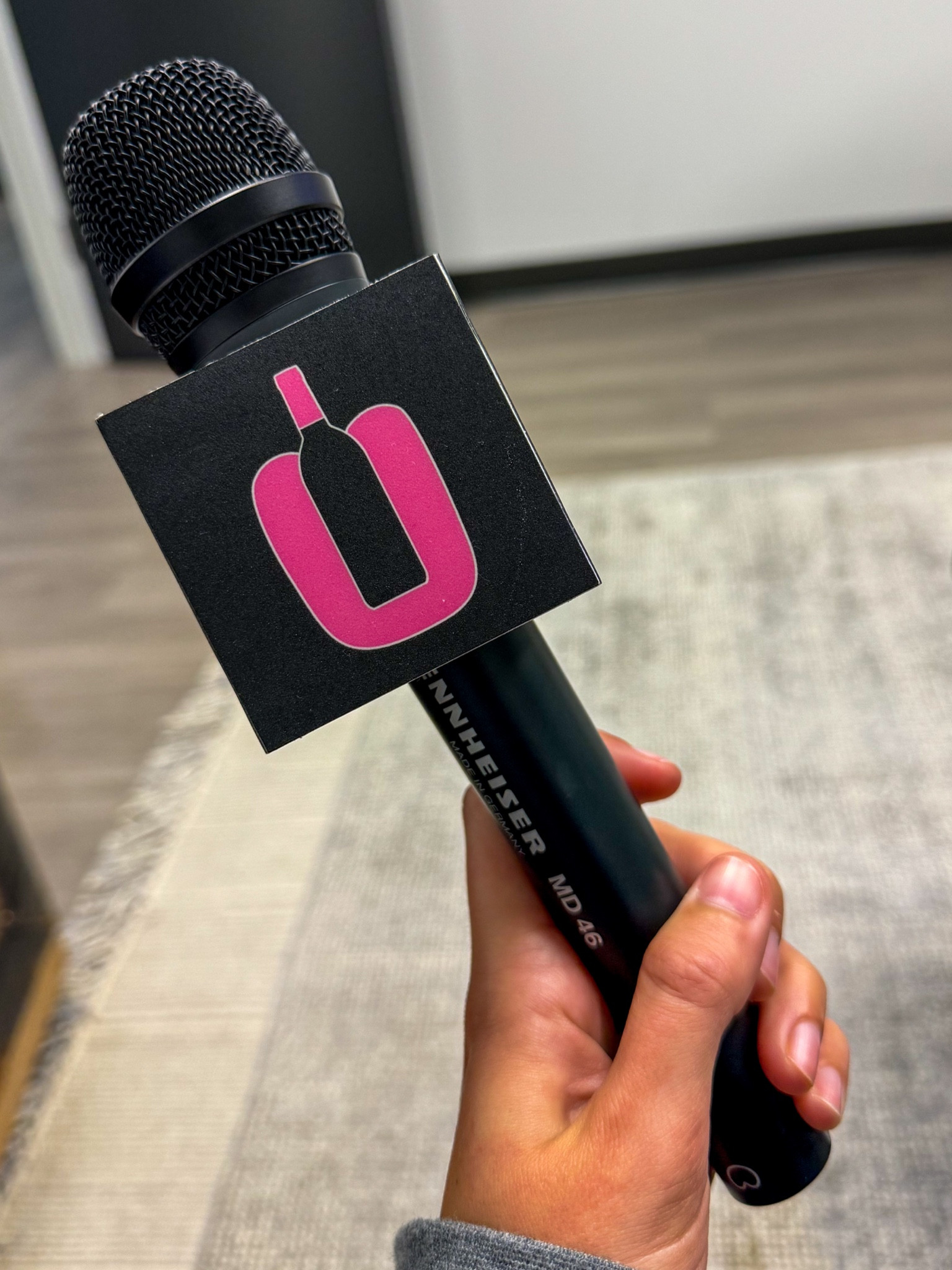 BEST PODCAST HANDHELD MICROPHONE!!

#LTKVideo