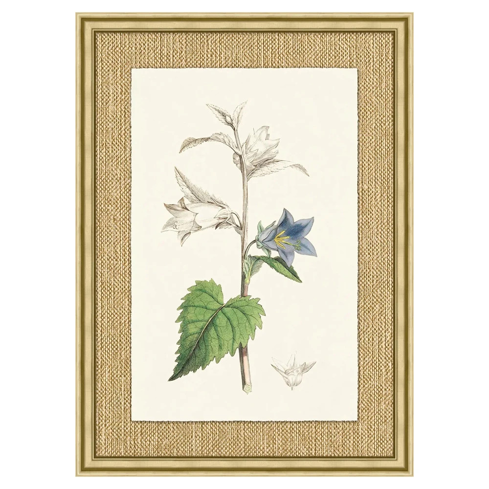 Mavis Updated Traditional Green Botanical Gold Frame Illustration 2 - 37x27 | Kathy Kuo Home