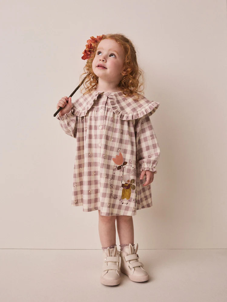 Brown Check Long Sleeve Collar Dress (3mths-7yrs) | Next US