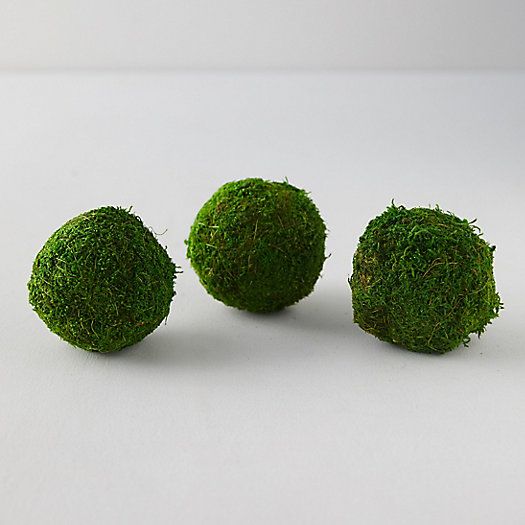 Natural Moss Balls, Set of 3 | Terrain