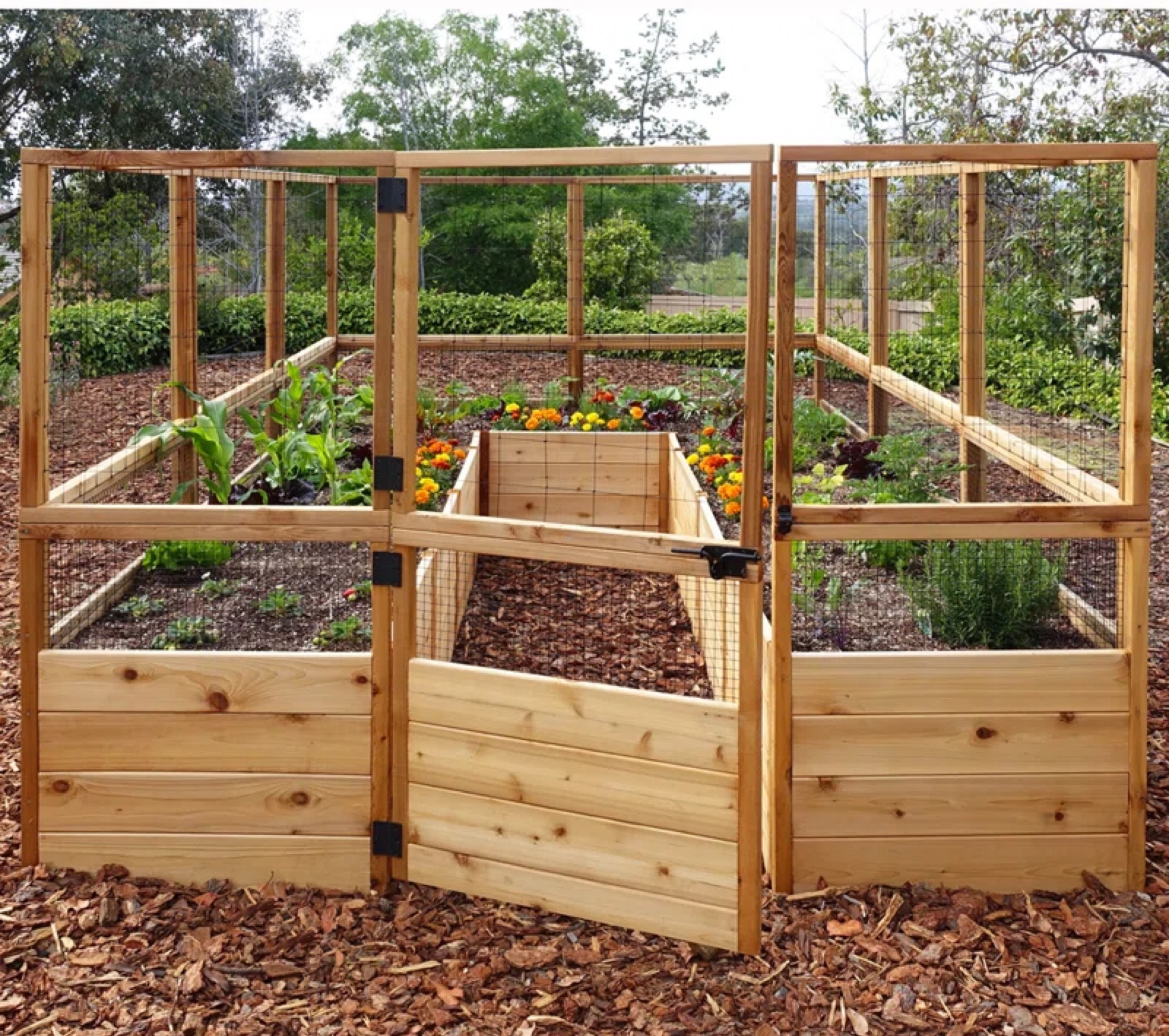 Garden in a box. Outdoor garden. Screened in garden  

#LTKHome