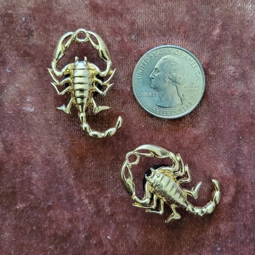 GOTH 'shoe Charm' Gold-toned Scorpion Charm - Etsy | Etsy (US)