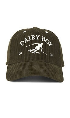 Dairy Boy Mountain Corduroy Trucker Hat in Pine from Revolve.com | Revolve Clothing (Global)