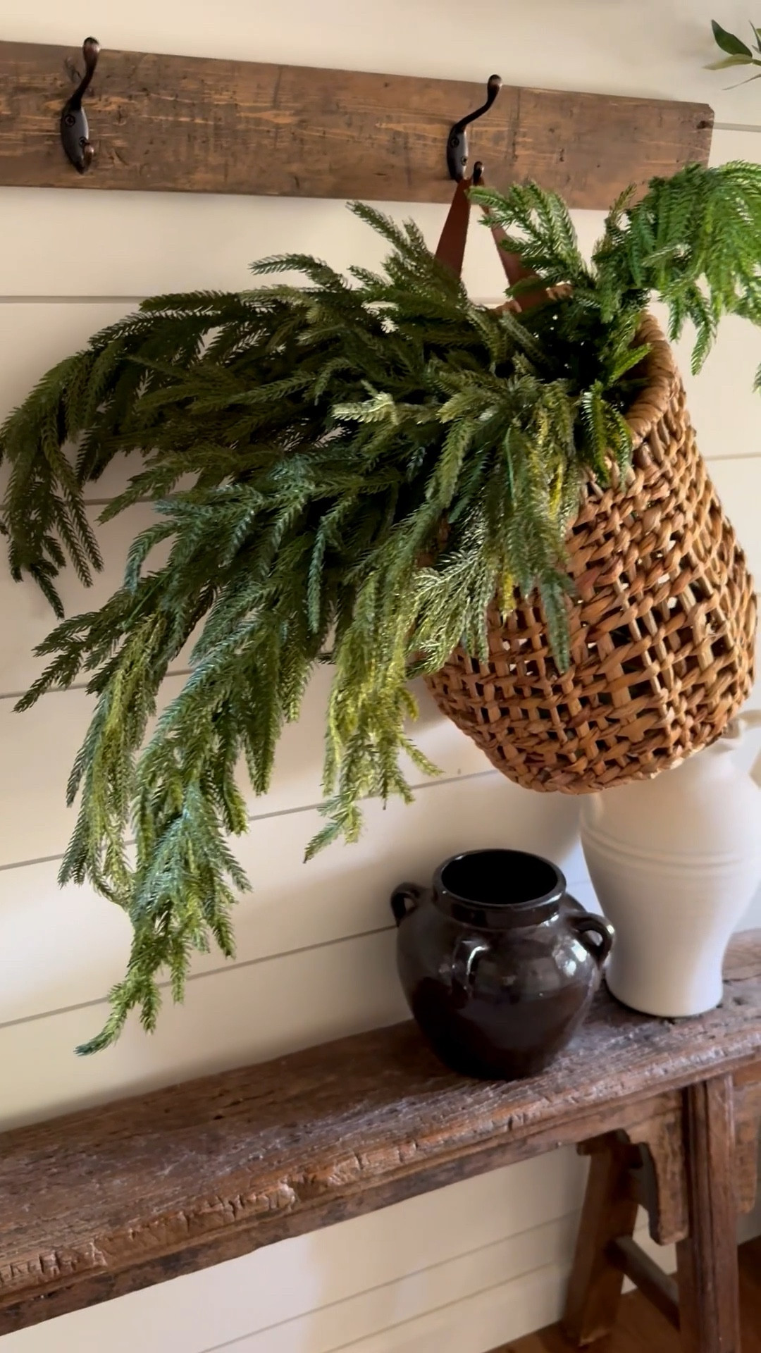 I used five of these Norfolk viral stems in this basket. 

#LTKSeasonal #LTKHome