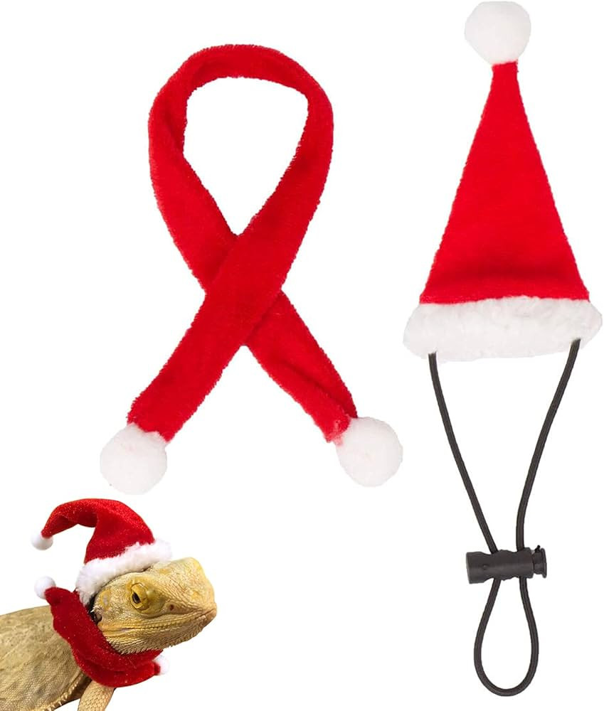 Bearded Dragon Santa Hat and Scarf Set Christmas Costume for Lizard Reptile Ferret Xmas Hat with ... | Amazon (US)