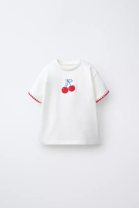 EMBROIDERED T-SHIRT | Zara UK