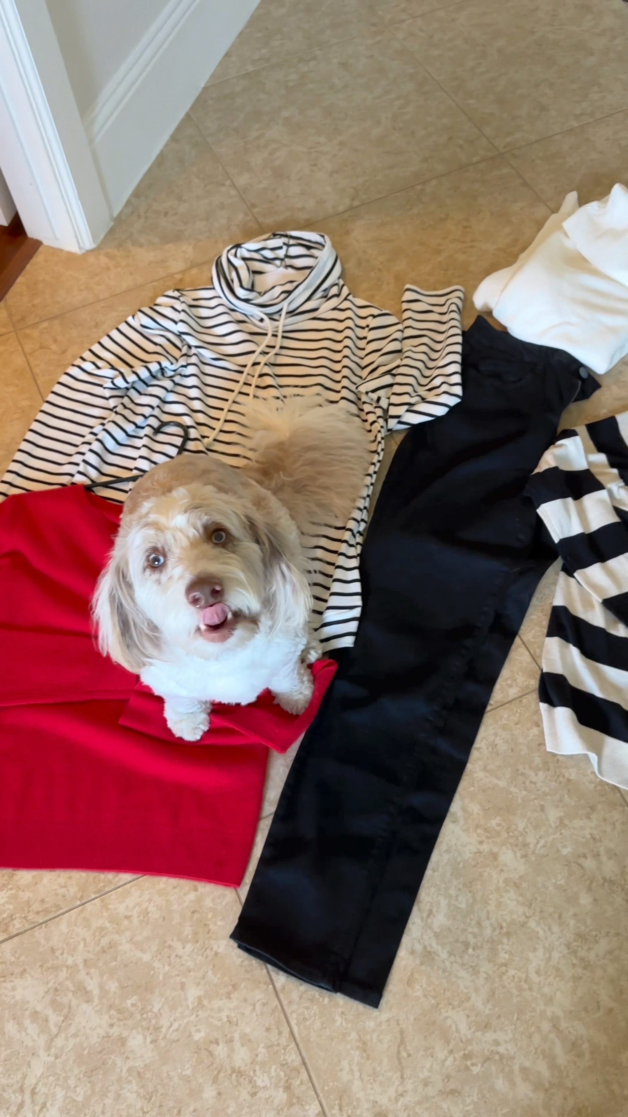 Travel outfits idea for a minimalist capsule wardrobe if you have to pack in only a carry-on suitcase. These jeans are stretchy yet have tummy control. Thin layers are great for fall outfits too. I would wear these outfits to a Christmas Market. Also added Christmas pajamas that i wore in Breckenridge. Do not forget to pack thin t-shirts for a base layer. #falloutfits #traveloutfits #christmasmarketoutfits 

#LTKSeasonal #LTKeurope #LTKtravel