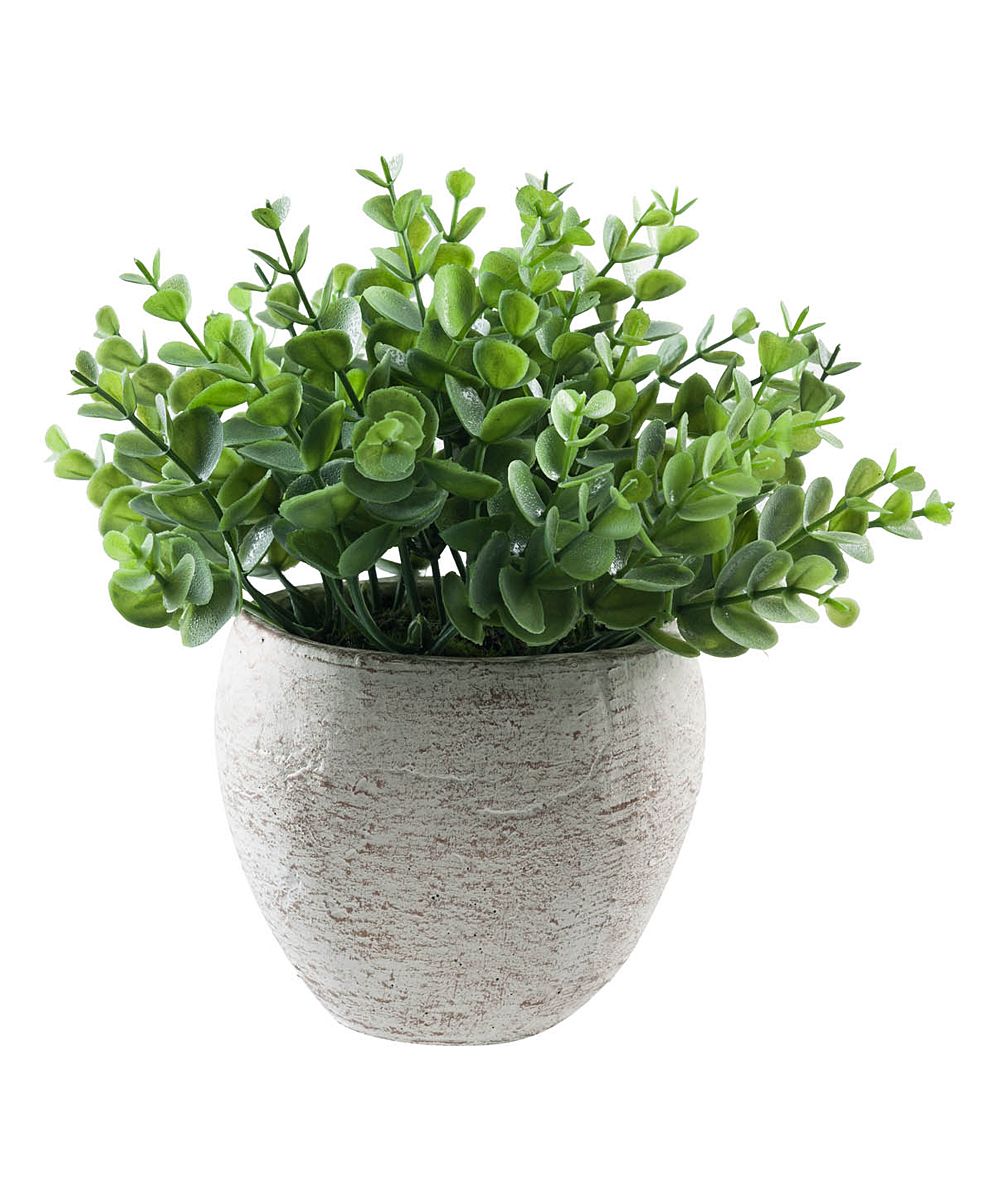 Hemsly Faux Plants Green - Green Textured Cement Potted Desmodium Arrangement | Zulily