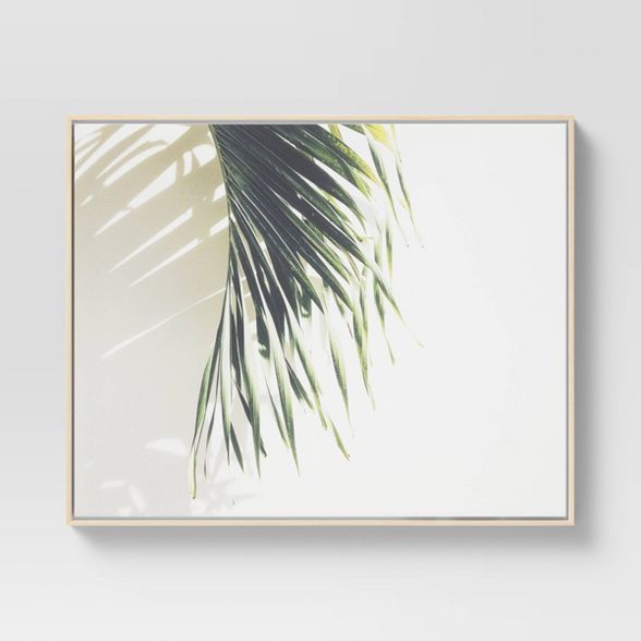 24" x 30" Palm Shadow Framed Canvas - Project 62™ | Target