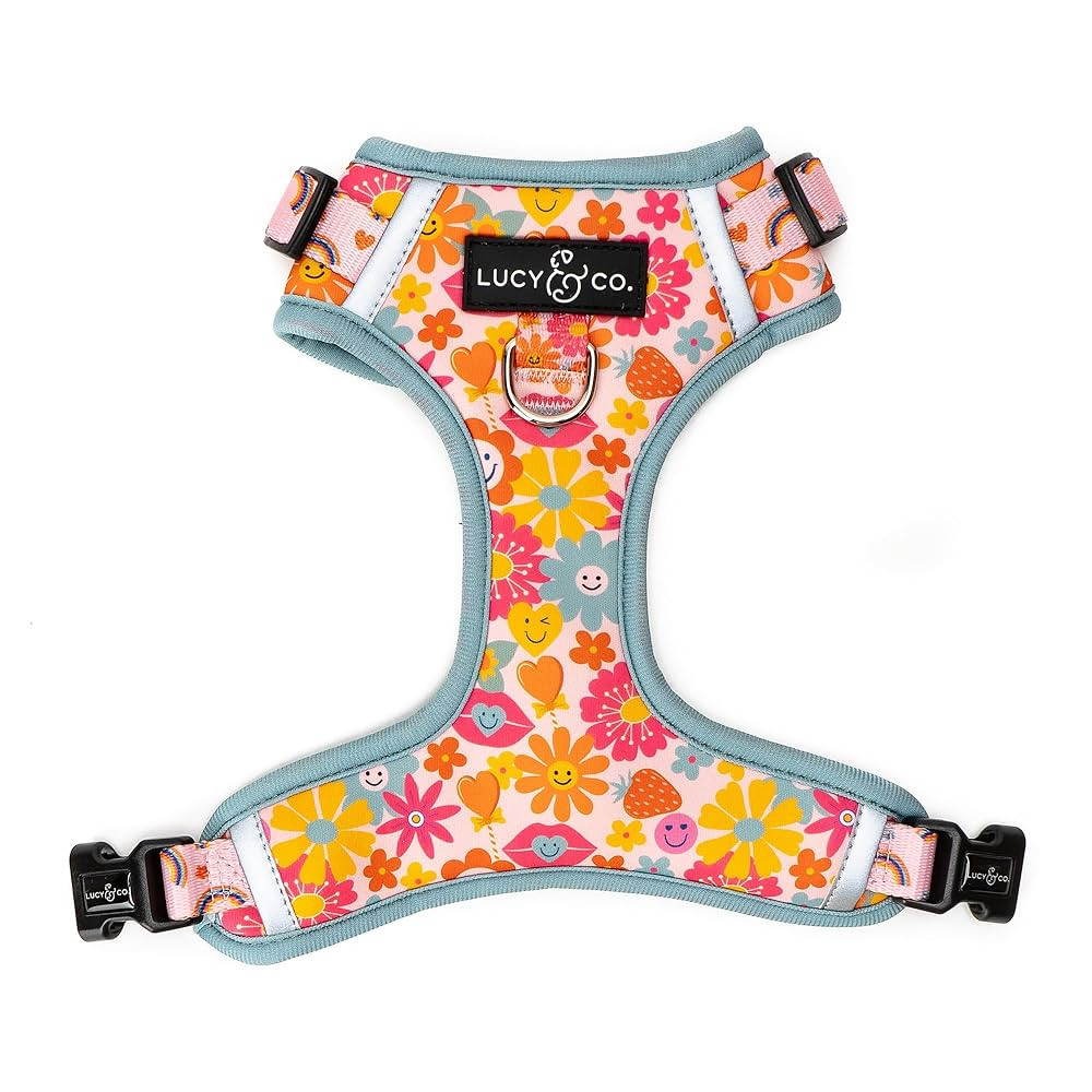 Lucy & Co. The Y2K Baby No-Pull Dog Harness – Size Medium – Vest to Stop Pulling & Walk Easy ... | Amazon (US)