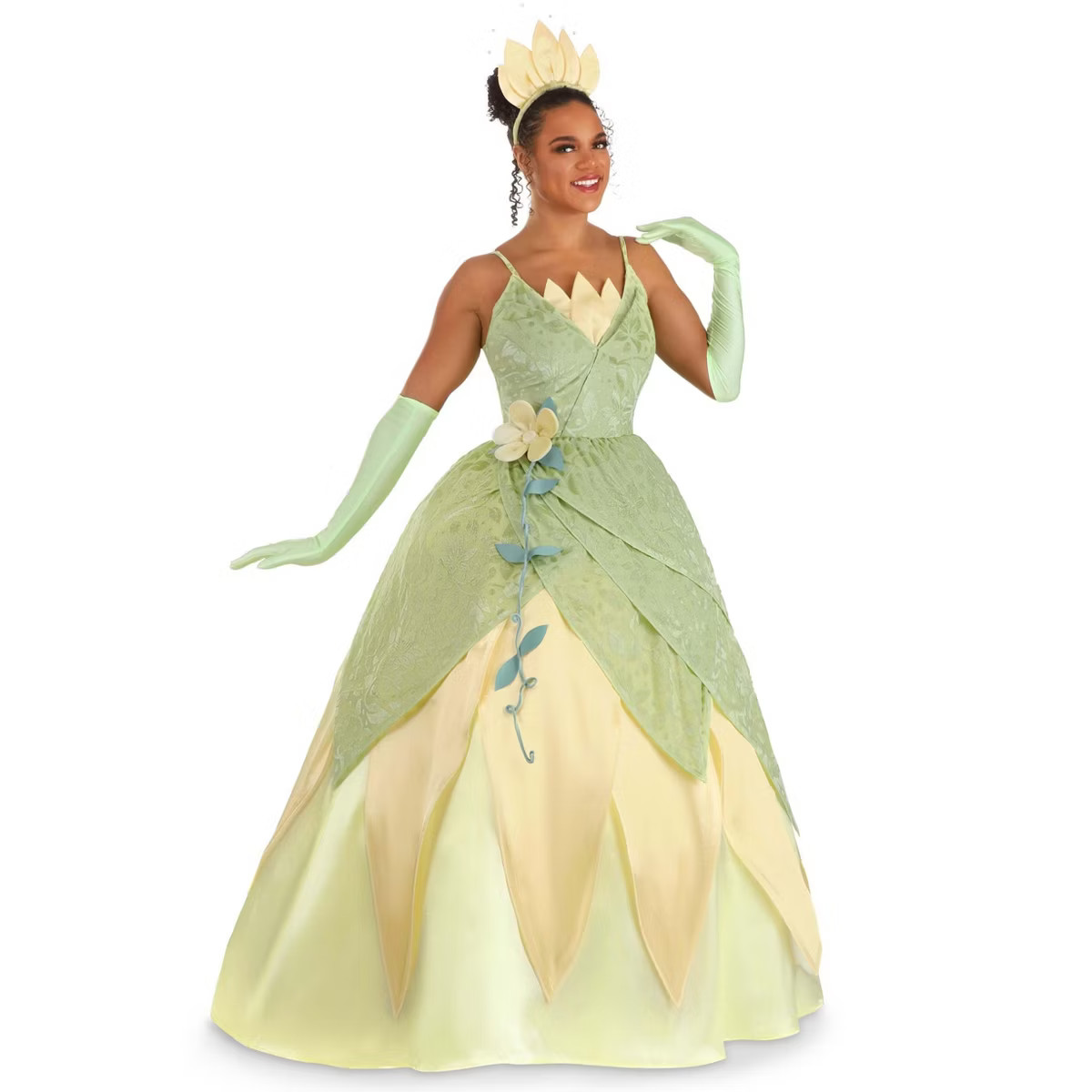HalloweenCostumes.com Women's Disney Deluxe Tiana Costume. | Target