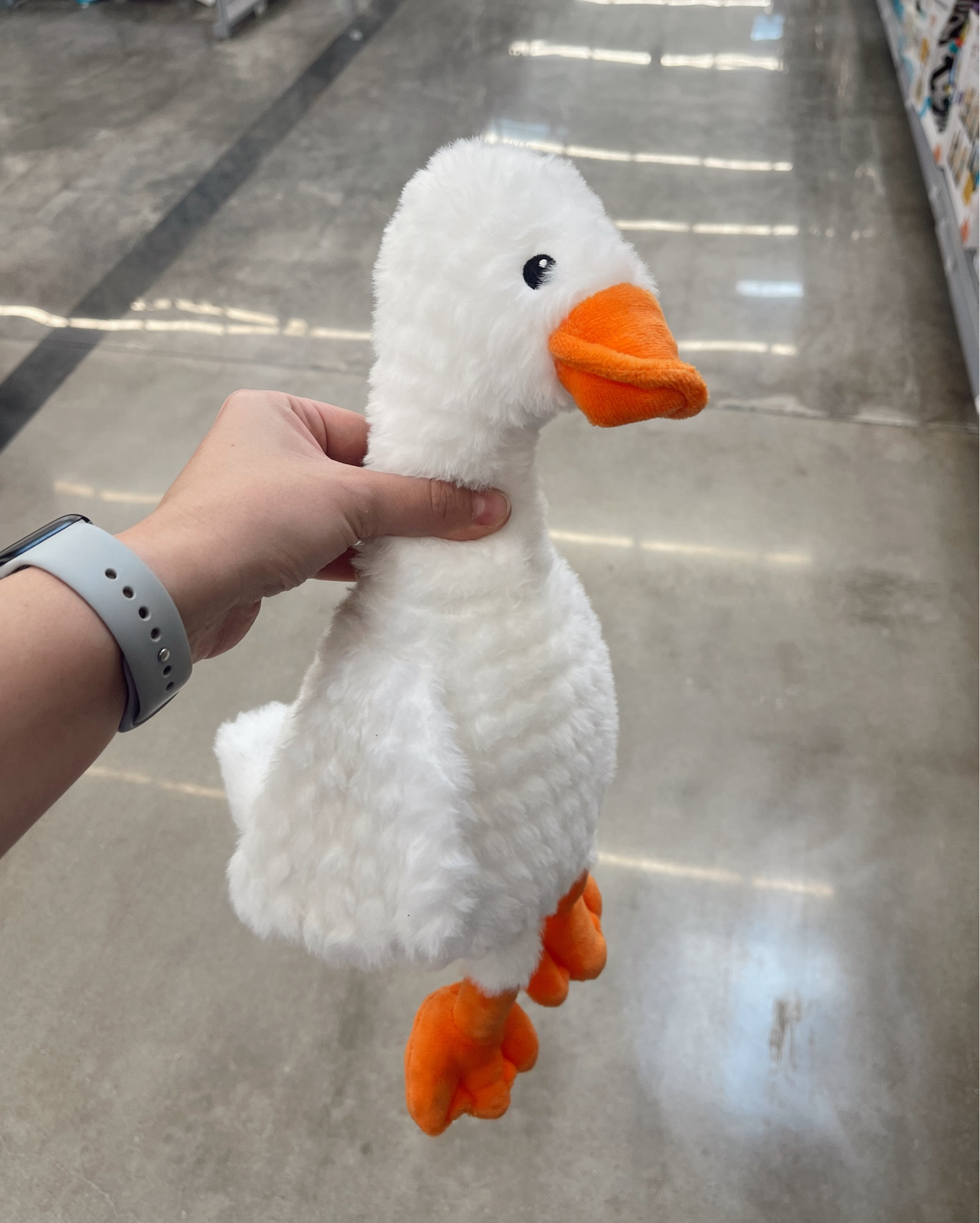 ONE Silly Goose Birthday Party- Walmart  Find!! This guy is soo cute! 

Little mad they didn’t start selling these until after our party 🪿

#onesillygoose #firstbirthday #1stbirthday #firstbirthdayparty 

#LTKKids #LTKBaby #LTKParties