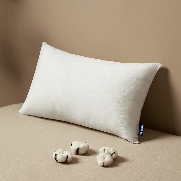 MIULEE Pillow Insert 12x20 Inch, Decorative Rectangle Throw Pillow Insert, Premium Fluffy Pillow ... | Amazon (US)
