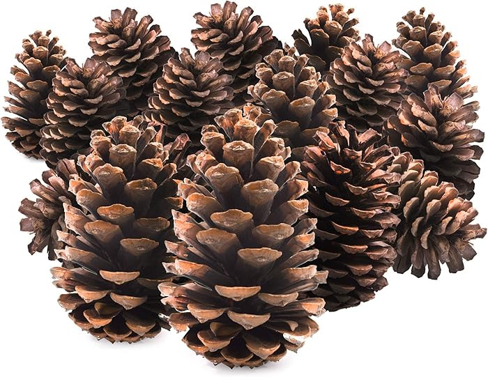 TRIXES 15PC Pine Cones - Tree Decorations - Christmas Wreath Garland Making Supplies - Pot Pourri... | Amazon (UK)