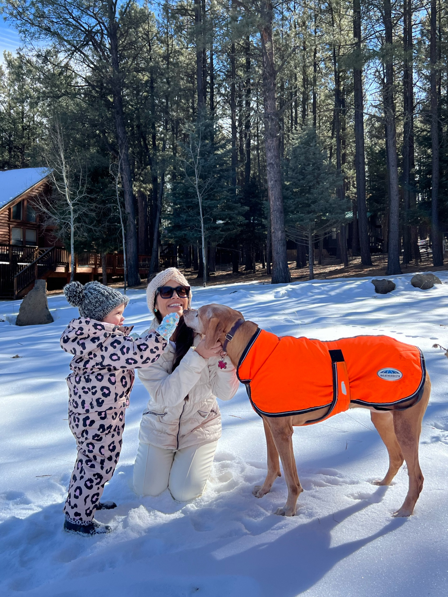 Winter outfit 
Toddler skisuit  
Dog jacket 
Amazon finds
Travel outfit 


#LTKSeasonal #LTKKids #LTKTravel