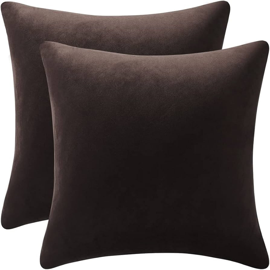 DEZENE Decorative Pillow Cases 20x20 Chocolate Brown: 2 Pack Cozy Soft Velvet Square Throw Pillow... | Amazon (US)