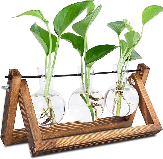 Plant Propagation Stations Terrarium with Wooden Stand, Desktop Air Planter Bulb Glass Vase,for I... | Amazon (US)