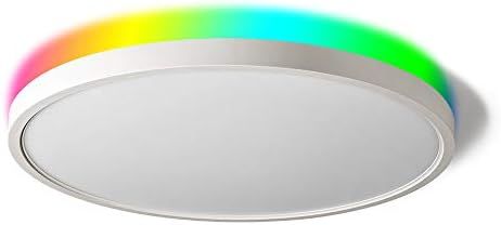 TALOYA Alexa Ceiling Light Smart, WiFi, Compatible with Google, 15.8 Inch Modern Dimmable Flush M... | Amazon (US)