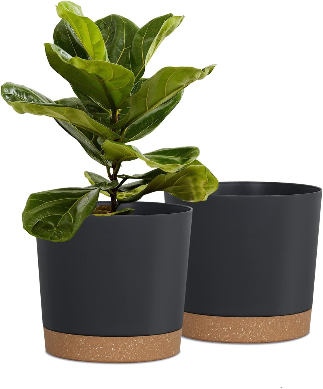 kubvici Plant Pots for Indoor Plants, 2 Pack 8 Inch Plastic Flower Pot Planters with Drainage Sau... | Amazon (US)