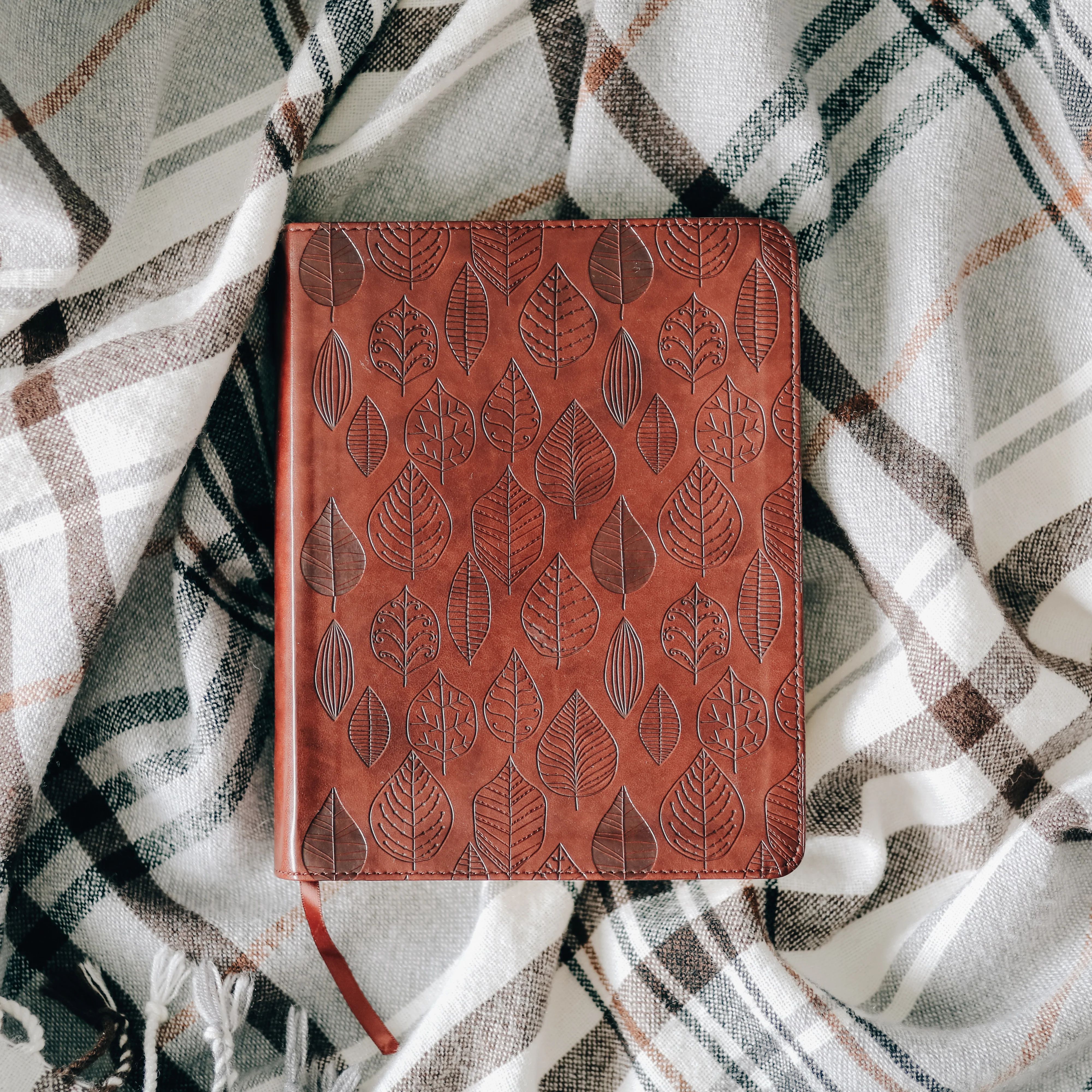 ESV Single Column Journaling Bible - Chestnut Leaves | The Daily Grace Co.