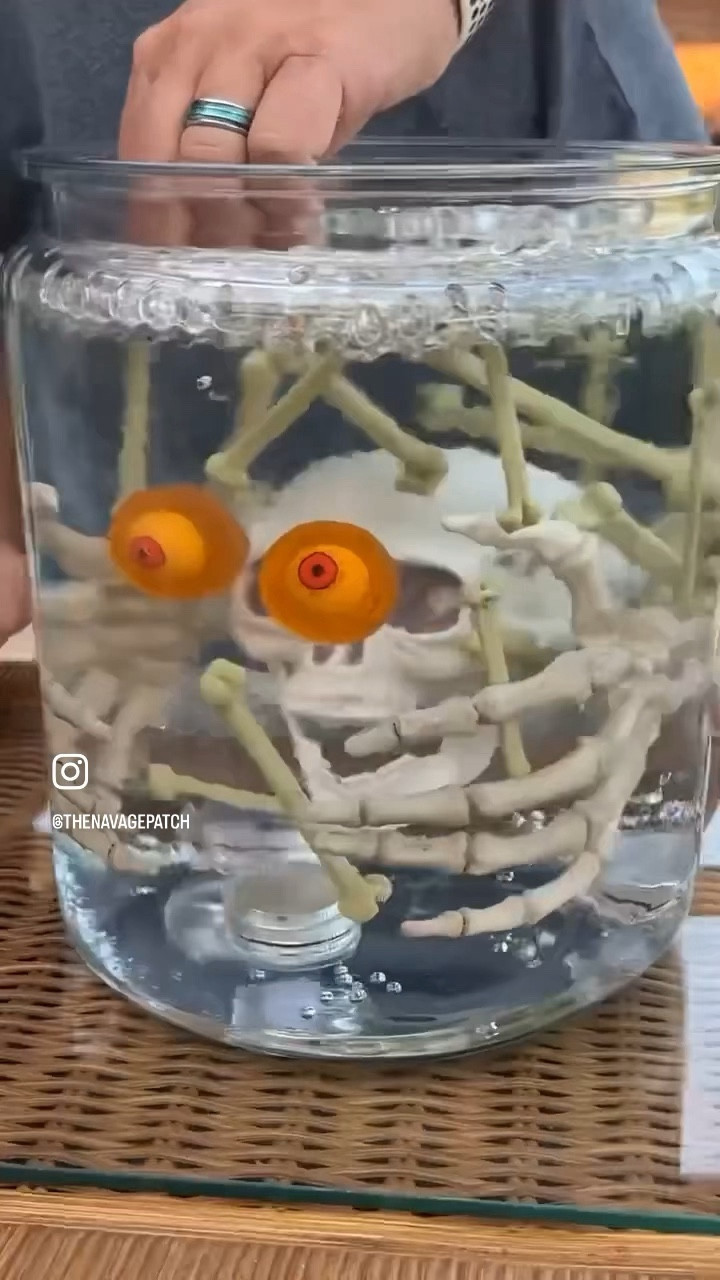 Pickled skull & bones display, Halloween skull display, Halloween lighting, Halloween decor, Amazon Halloween decorr

#LTKhome #LTKVideo #LTKSeasonal