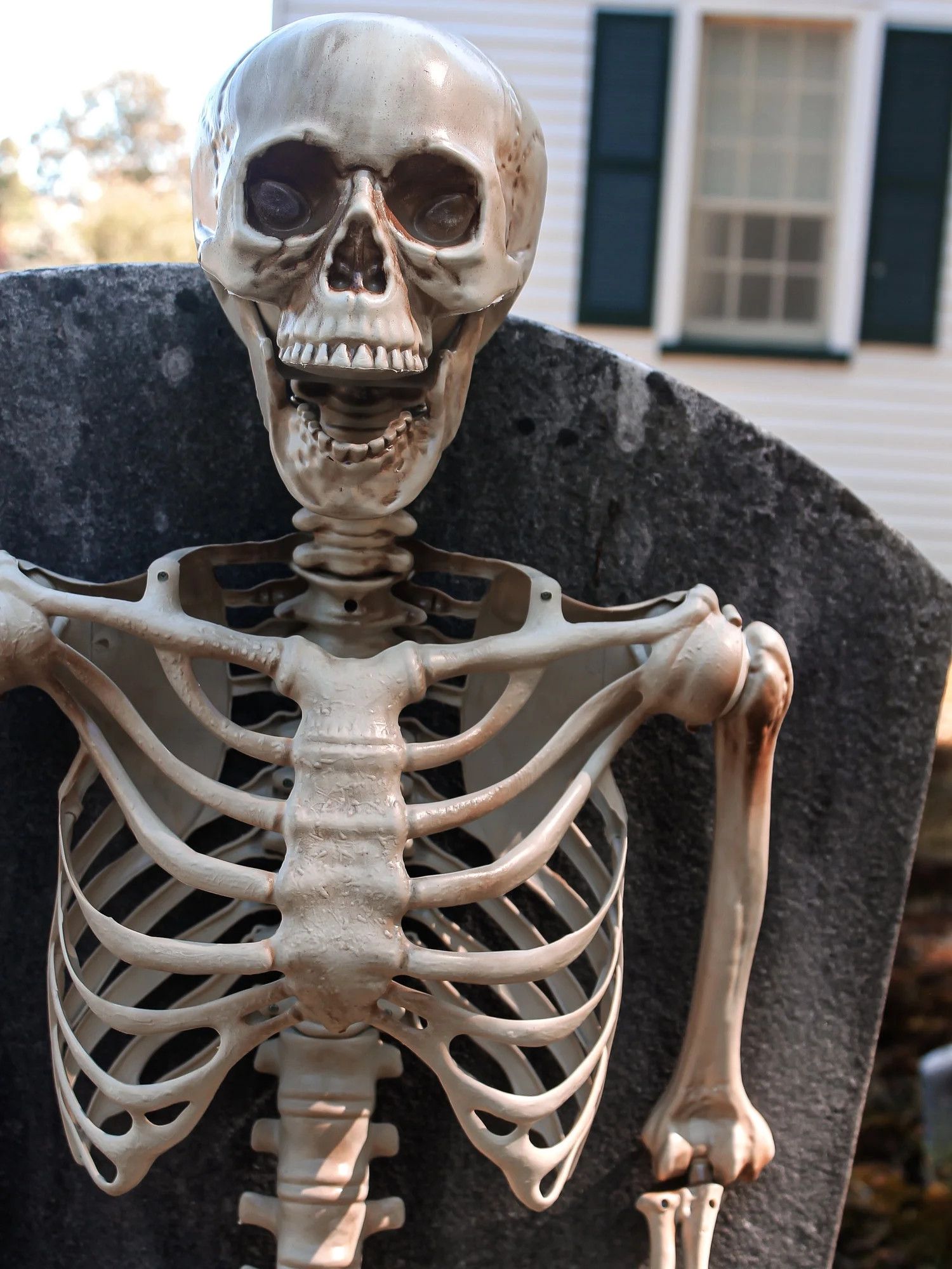 Rubies 60in Posable Skeleton Halloween Decoration | Walmart (US)