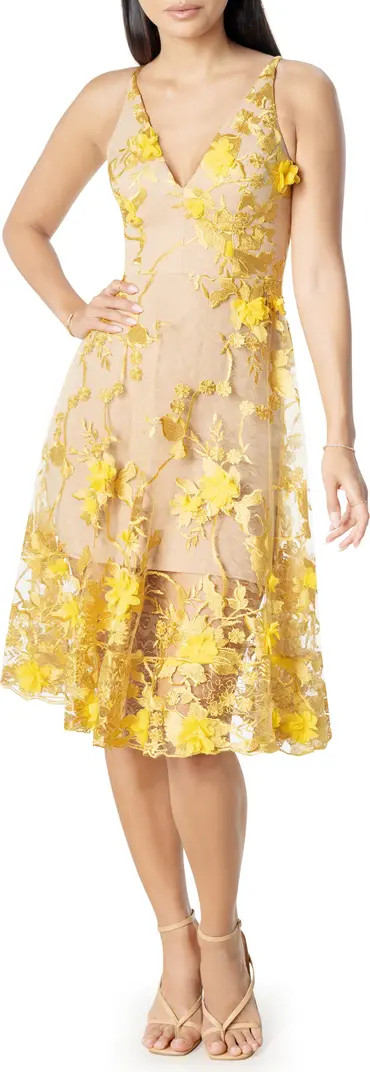 Audrey Embroidered Fit & Flare Dress | Nordstrom