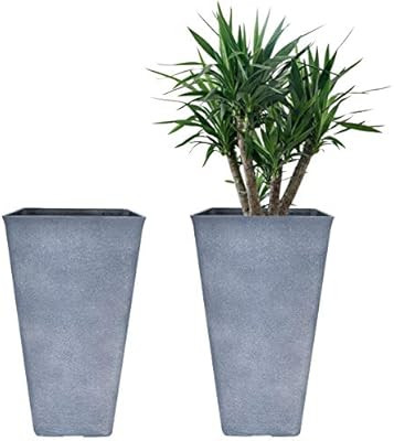 $105.99 | Amazon (US)