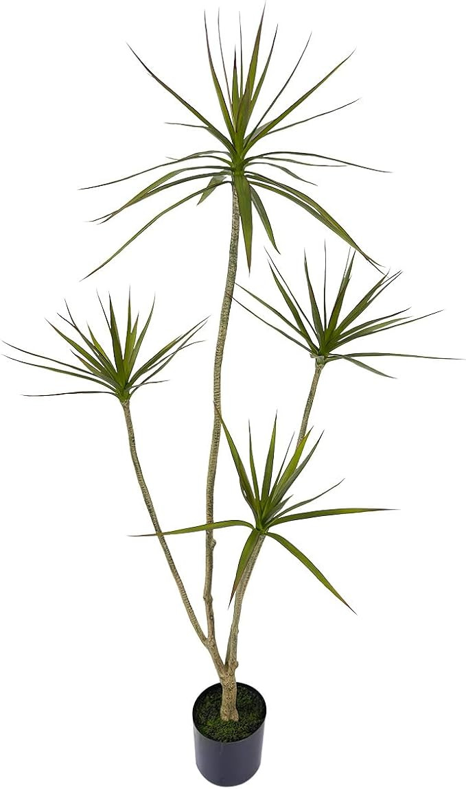 AfanD Artificial Dracaena marginata,5ft Tall Fake Plants Artificial Dracaena marginata Plants for... | Amazon (US)