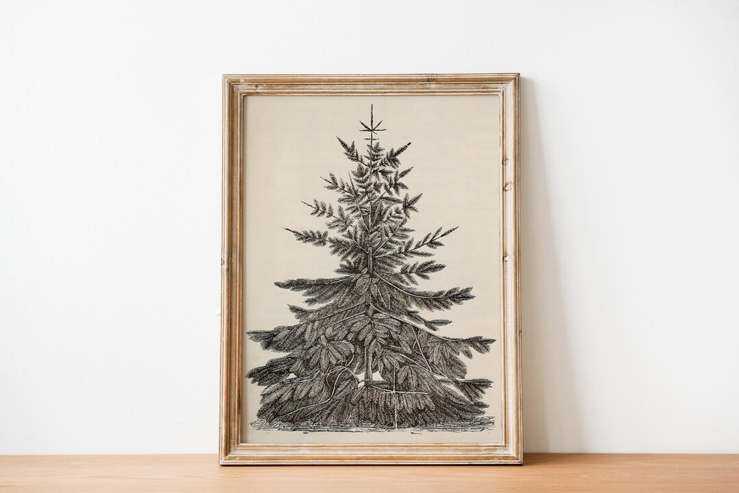 Antique Christmas Pine Tree Sketch, Vintage Christmas Tree Art, Neutral Christmas Tree Wall Art, ... | Etsy (US)