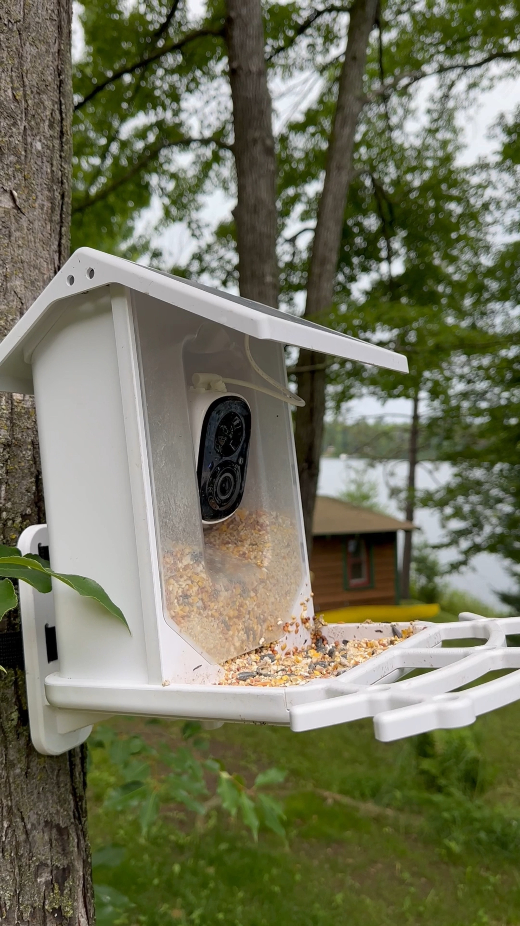Bird feeder game on point! 

#LTKFamily #LTKHome #LTKSeasonal