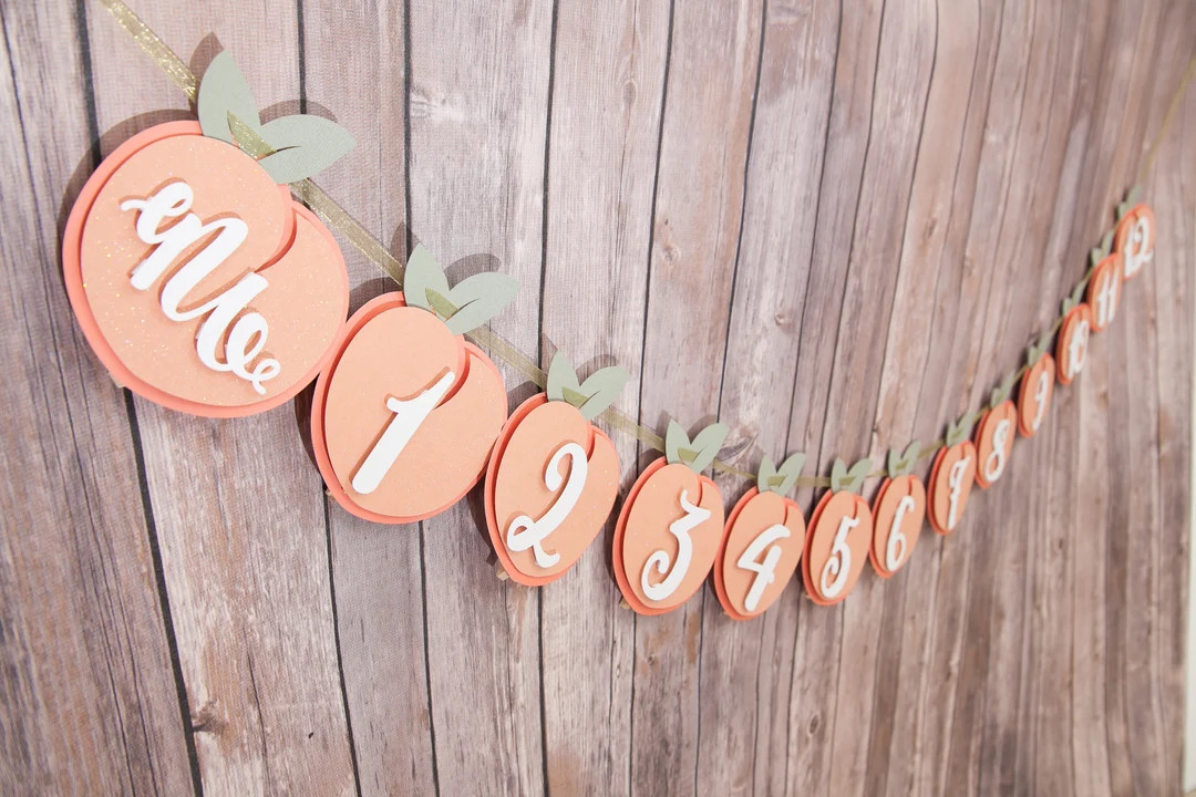 PEACH Birthday Decor Sweet as a Peach Photo Banner 1st Birthday Milestone Garland - Etsy | Etsy (US)