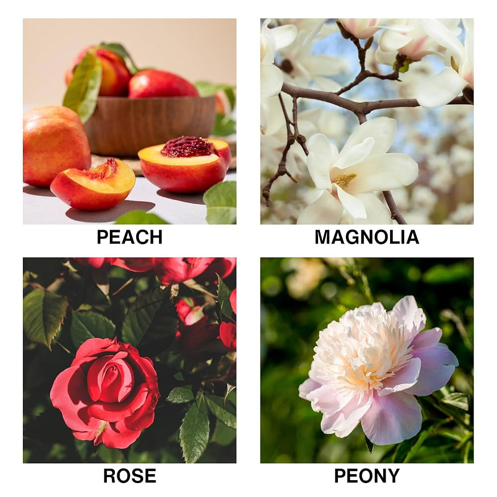 Reed Diffuser Oil – Flora D’Amour Scent with Rose, Peony, Magnolia & Peach – Long Lasting A... | Amazon (US)