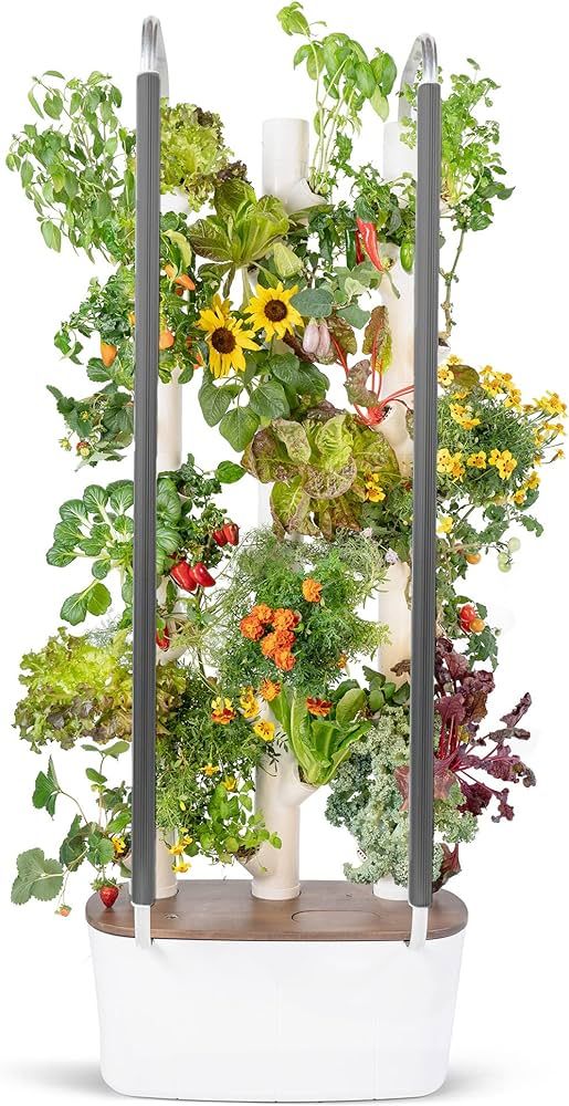 Gardyn 3.0 Hydroponics Growing System & Vertical Garden Planter | Indoor Smart Garden| Includes 30 N | Amazon (US)