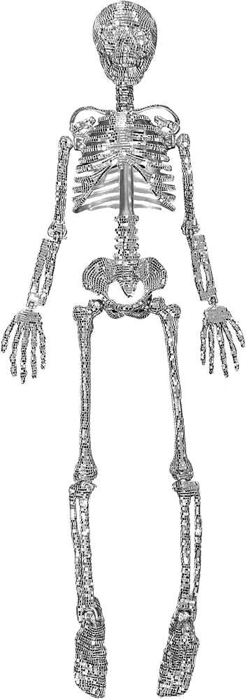 Ashland 3ft. Disco Skeleton | Amazon (US)