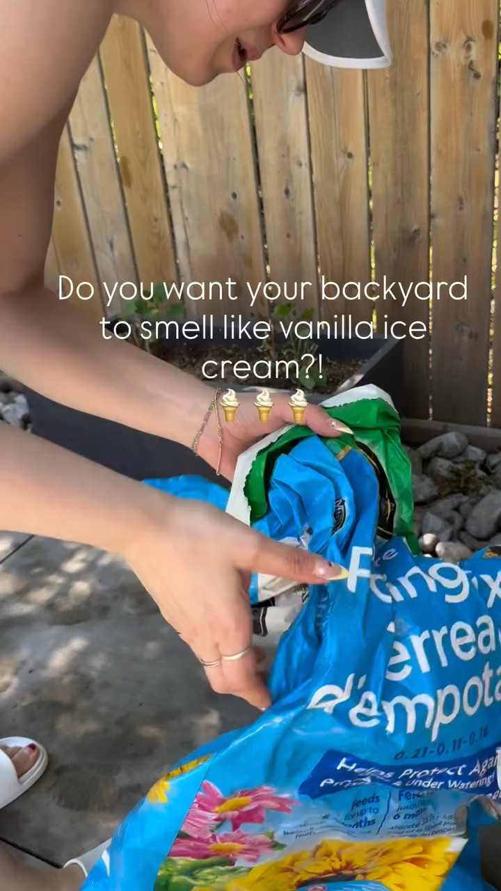Get the sweet smelling vanilla ice cream 🍦 flowers for your backyard this year. They are easy to care for and smell delicious! Make sure you’re following along them Comment link 🔗 and I’ll send you the variety of flower and care instructions for these beauties. I just went back to grab some more. 🍨
Make sure you follow along as I share more unique whimsy flowers and ideas ✨
.
#icecreamflower #flowerseries #whiteflowers #stoptosmelltheflowers #flowervariaties easy to grow flowers, flower blog, backyard ideas, stop to smell the flowers, white floral, sweet smelling vanilla flower
