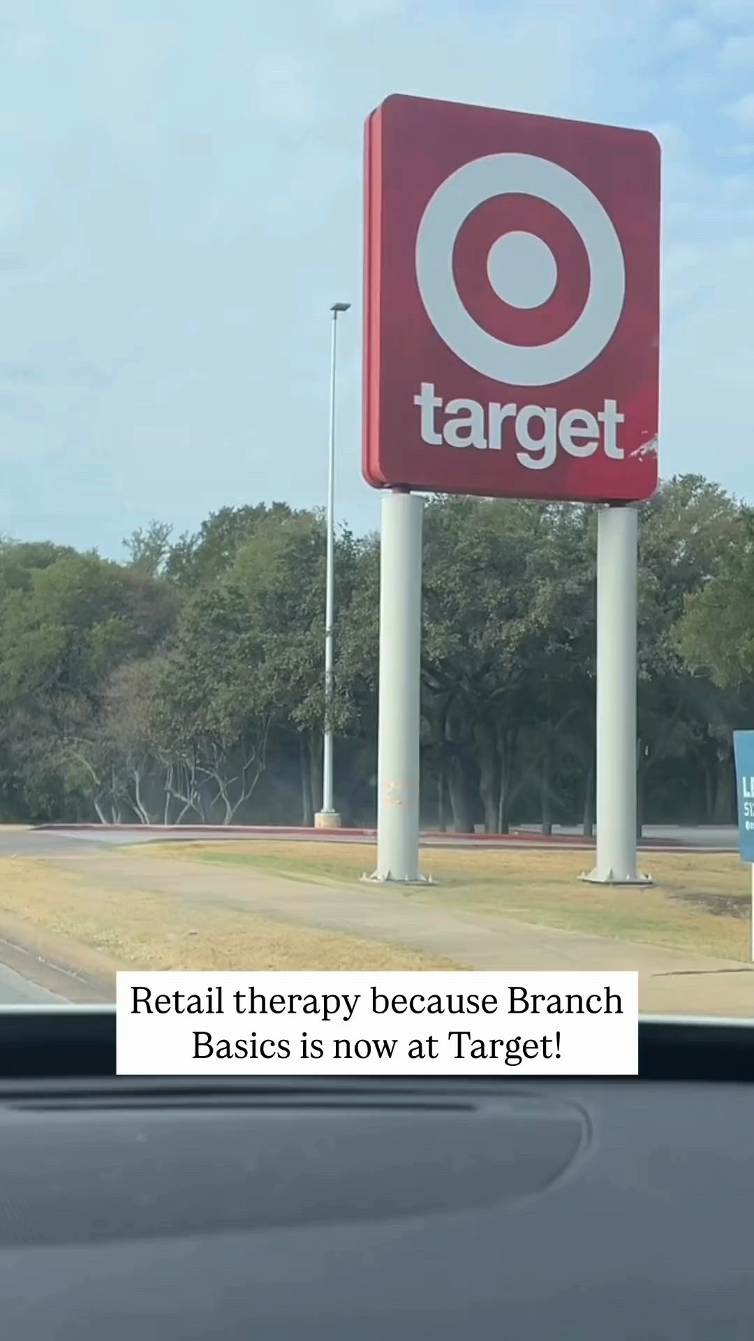 Best cleaning products are now at target! #BranchBasics #BranchBasicspartner #Target 