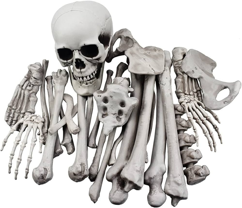 XONOR 28 Pieces Skeleton Bones and Skull for Halloween Decor or Spooky Graveyard Ground Decoratio... | Amazon (US)