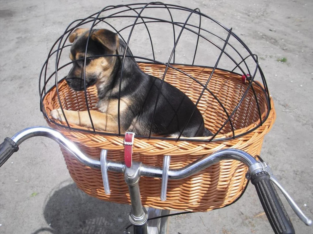 LARGE Handwoven Bicycle Basket for Animals in NATURAL Color, Wicker Bicycle Basket, Transporter f... | Etsy (US)